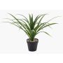 Umělá palma Yucca rostrata POLLYANNA, dekorativní květináč, crossdoor, 35cm