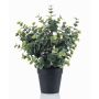 Umělý eukalyptus GLIWEN v dekorativním květináči, zelenošedý, 30cm
