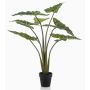 Umělá rostlina Alocasia Sanderiana MUNAY v dekorativním květináči, zelená, 100 cm