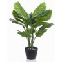 Umělá rostlina Calathea Orbifolia CAPHOR, zelenošedá, 70cm