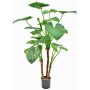 Umělá rostlina Alocasia calidora NOKJAN, zelená, 120cm