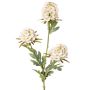 Umělá větvička hvozdíku vousatého STERMYN, krémová, 75cm, Ø6,5-8,5cm