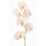 Umělá květina Lathyrus WAHNY, bílo-zelená, 45cm, Ø5,5cm