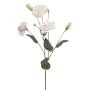 Umělá květina Lisianthus RENARA, bílá, 75 cm