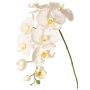 Dekorativní větvička orchideje Phalaenopsis WESA, bílá, 100cm