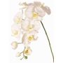 Dekorativní větvička orchideje Phalaenopsis WESA, bílá, 100cm