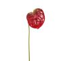 Umělá květina Anthurium SAMBANA, červeno-zelená, 65 cm