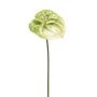Umělá květina Anthurium SAMBANA, zeleno-krémová, 65cm