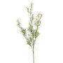 Umělá větvička Asparagus sprengeri SAMBENO, zelená, 80cm