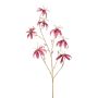 Sametová gloriosa KAZBEK, starorůžovo-zlatá, 110 cm