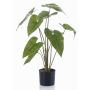 Umělá rostlina Alocasia Zebrina LEFKA s kořeny, zelená, 75cm