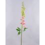 Pravá květina delphinium RADUNIA, růžová, 110cm, Ø2,5-7cm