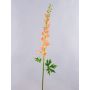 Pravý květ delphinium RADUNIA, meruňka, 110cm, Ø2,5-7cm