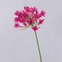 Plastová květina Agapanthus PHILINA, růžová, fuchsiová, 75cm, Ø14cm