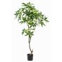 Umělý strom pachira CANTSA, umělý kmen, 150cm