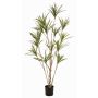 Umělý strom Dracaena marginata SHALLU, umělé stonky, zelený, 180cm