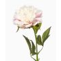 Umělá pivoňka GAVRON, bílo-růžová, 55cm