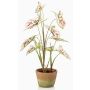 Umělá rostlina Syngonium YOMREL v terakotovém květináči, krémově červená, 60cm