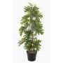 Umělá rostlina Philodendron selloum BRINOL, dekorativní květináč, vzdušné kořeny, 80cm