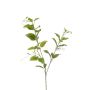 Dekorativní větvička plaménku VLORIX, zeleno-krémová, 105cm