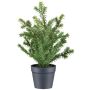 Umělá rostlina tisu KRUHER, dekorativní květináč, zelená, 28cm