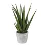 Dekorativní sukulent Aloe vera BRIZE v cementovém květináči, zelenožlutý, 40cm
