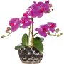 Dekorativní květina orchidej Phalaenopsis BRULFEN, dekorativní váza stříbrná, fialová, 30cm