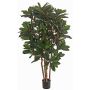 Pravá Schefflera ZULEIKA, pravé stonky, zelená, 120cm
