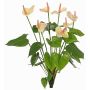 Dekorativní květina Anthurium NAKITA na tyči, růžovo-krémová, 50cm
