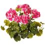 Dekorační pelargonie MALINA na tyči, křížová, růžovo-růžová, 40cm