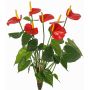 Dekorativní květina Anthurium NAKITA na tyči, červená, 50cm