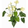 Dekorativní květina Anthurium NAKITA na tyči, krémová, 50cm