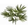 Umělá palma Washingtonia SAIMA na tyči, křížová, 50cm