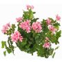 Umělá pelargonie MIA na tyči, světle růžová, 40cm, Ø5-8cm