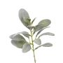 Umělá větev čistec FERRIS, šedo-zelená, 40cm