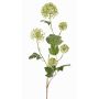 Umělá větev kaliny TENSHI, zelená, 90cm, Ø5-10cm