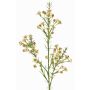 Dekorační větvička voskové květiny FRINDALS, krémová, 65cm, Ø1,5-2cm