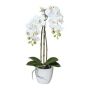 Umělá orchidej Phalaenopsis LARKEN v keramickém květináči, kořeny, bílá, 45cm