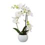 Textilní orchidej Phalaenopsis INAKES, keramický květináč, kořeny, bílá, 40cm