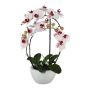 Textilní orchidej Phalaenopsis INAKES, keramický květináč, kořeny, růžovo-bílá, 50cm