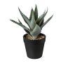 Umělý sukulent aloe vera BLORN v dekorativním květináči, zelený, 20 cm