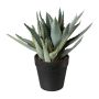 Umělý sukulent aloe vera BLORN v dekorativním květináči, zelený, 23cm