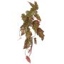 Umělá rostlina Begonia palmata OANFIR, závěsná tyč, růžovo-zelená, 90cm
