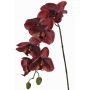 Umělá orchidej Phalaenopsis LARDUEN, vínově červená, 75cm, Ø10cm