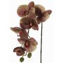 Umělá orchidej Phalaenopsis LARDUEN, zeleno-růžová, fialovo-zelená, 75cm, Ø10cm