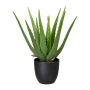 Umělý sukulent aloe vera KRONFA v dekorativním květináči, zelený, 35cm