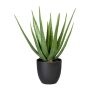 Umělý sukulent aloe vera KRONFA v dekorativním květináči, zelený, 55 cm