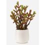 Umělý sukulent Sedum reflexum CYVAST v dekorativním květináči, zeleno-červený, 27cm