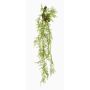 Umělá závěsná rostlina Asparagus Plumosus SHALLON na větvi, zelená, 110cm