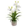 Plastová květina orchidej Cymbidium CANFOL, melaminový květináč, kořeny, bílá, 60cm